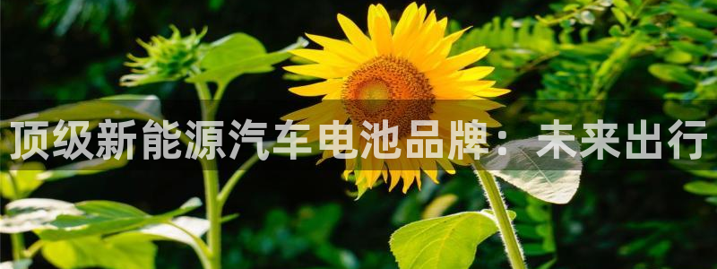 优发国际游戏官网