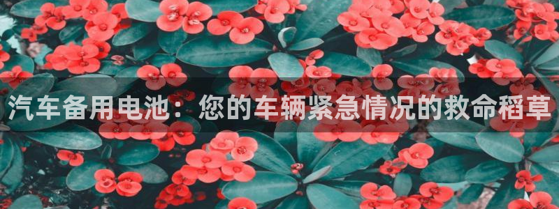 优发国际手机版客户端