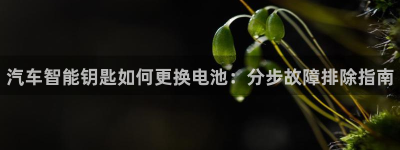 优发国际集团股份有限公司官网