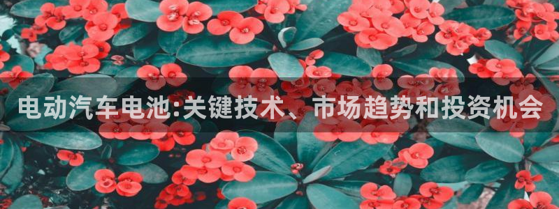 优发国际是合法的吗安全吗