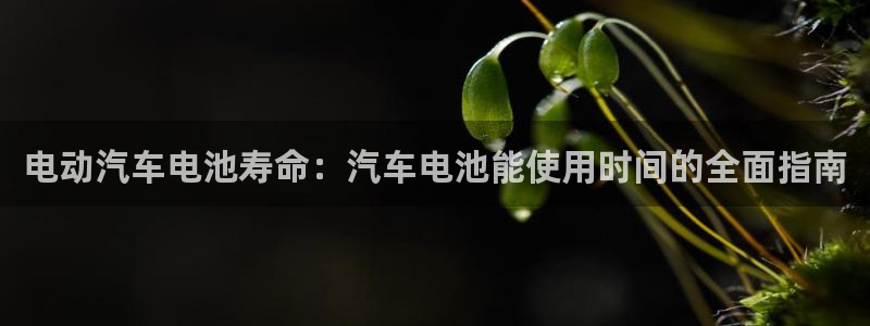 优发国际合并到哪里了最新消息