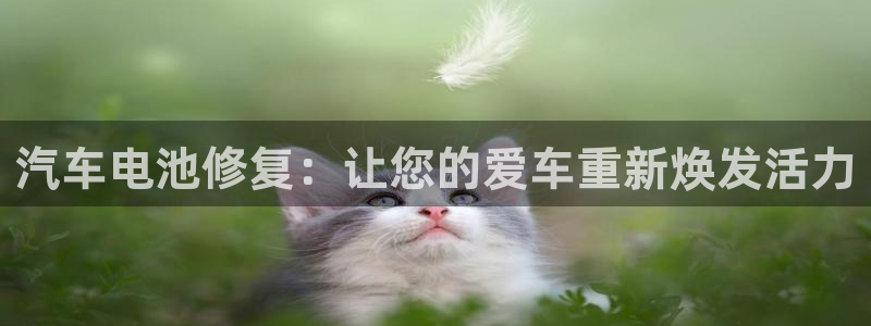 优发国际手机app下载地址