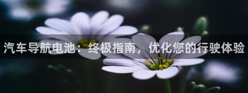 优发国际app官网下载安装