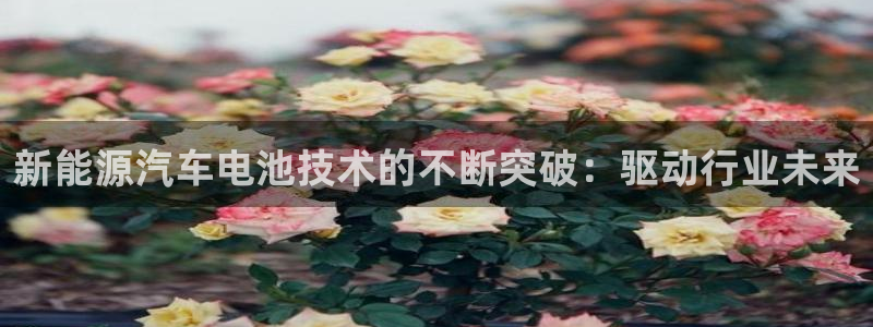 优发国际官网手机版下载安装