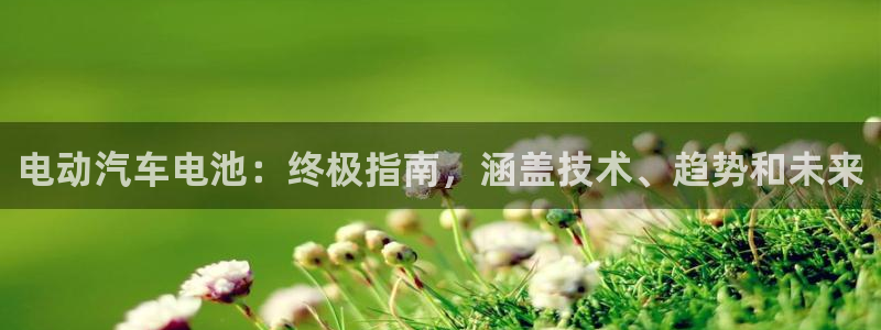 优发国际这个平台怎么样