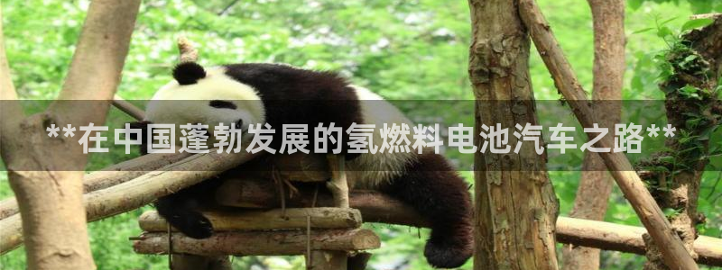 优发国际官网手机版代理
