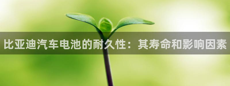 优发国际安卓版下载安装