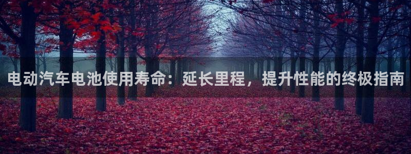 优发国际手机客户端下载官网