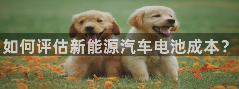 优发国际是合法的吗