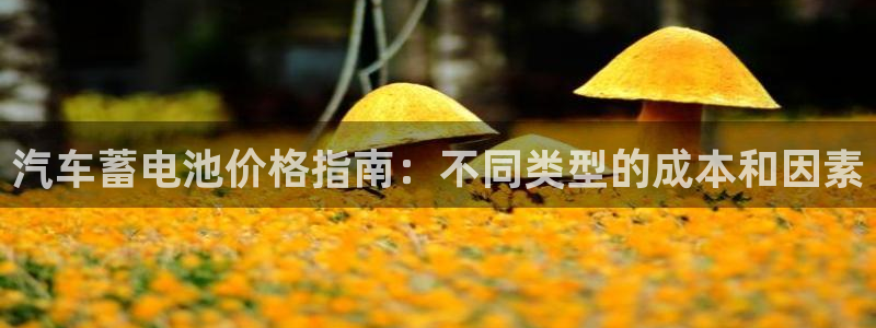 优发国际手机版下载