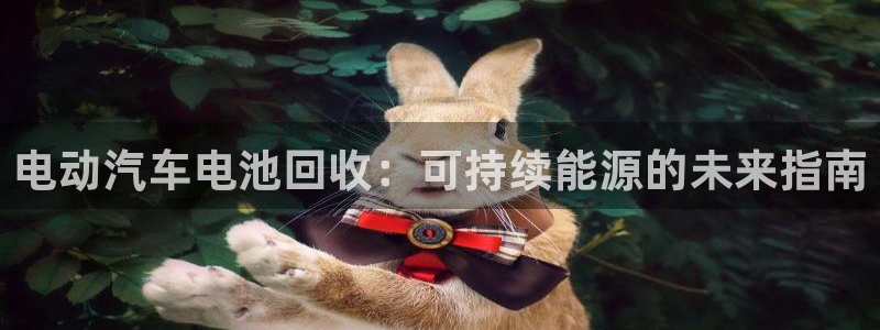 优发国际这个平台怎么样可靠吗