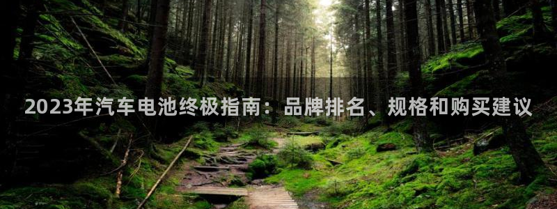 优发国际VIP网址