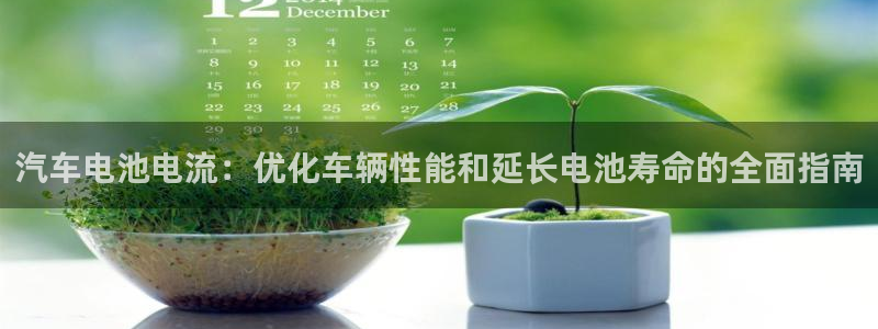 优发国际是大平台吗还是小平