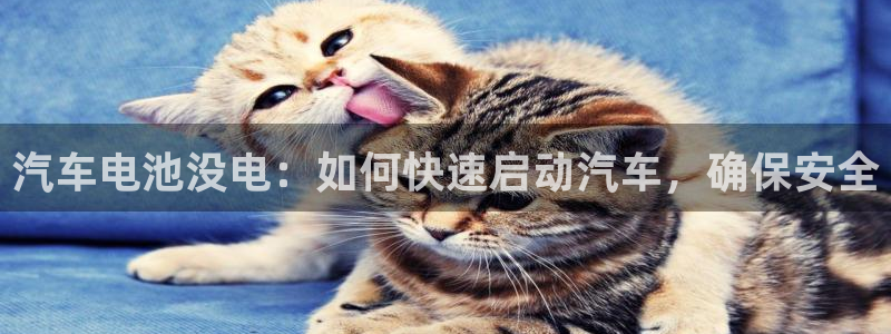 优发国际集团股份有限公司
