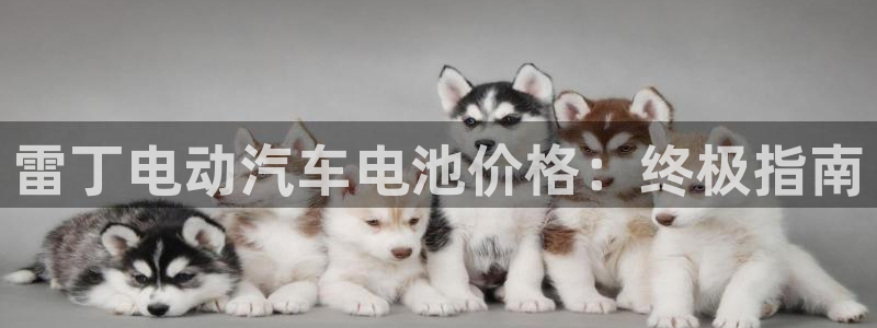 优发国际VIP网址