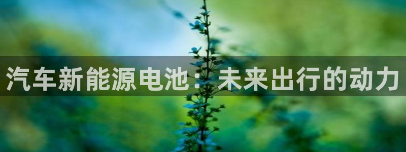 优发国际网官网17k8