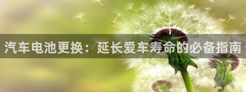 优发国际是大平台吗