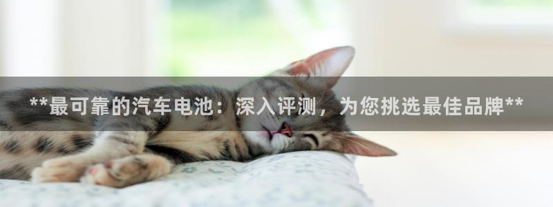 优发国际平台app下载安装