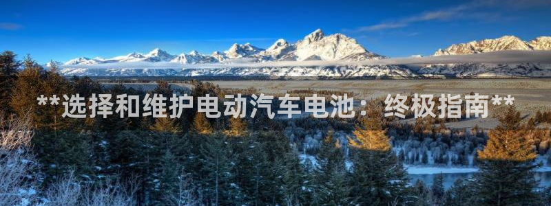 优发国际下载app
