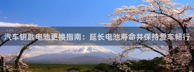 优发国际手机客户端下载安装手机版