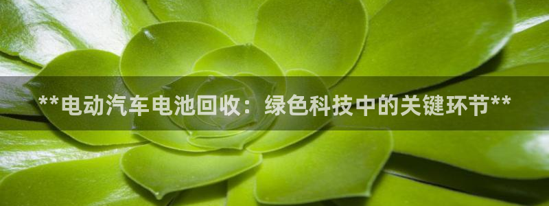 优发国际免费游戏下载