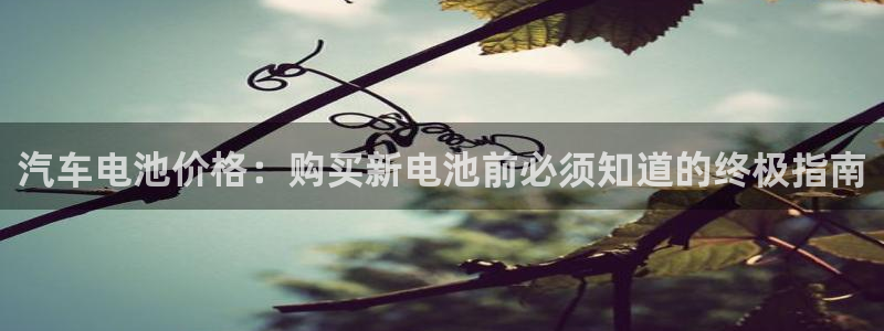 优发娱乐官网app下载
