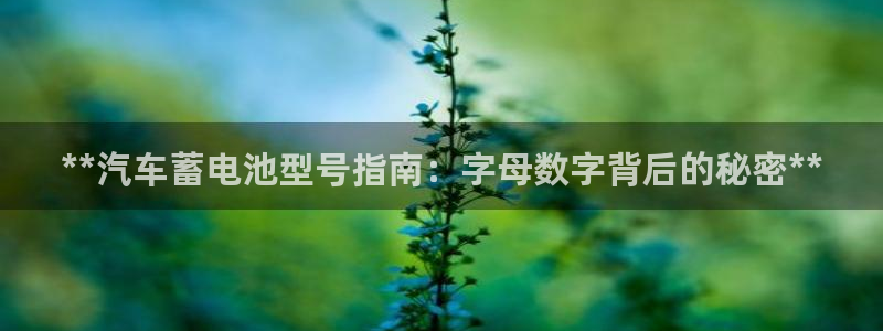 优发国际官方网手机版