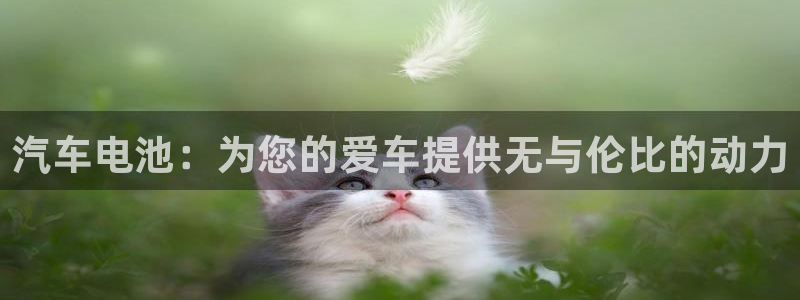 优发国际的官网是