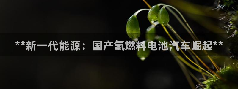 优发国际网官网17k8