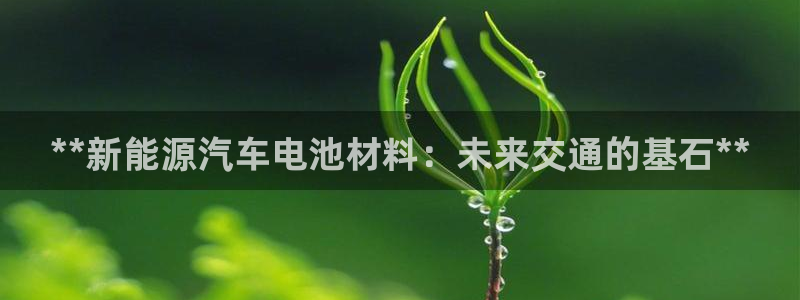 优发国际游戏官方网站
