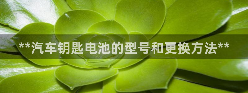 优发国际这个平台怎么样