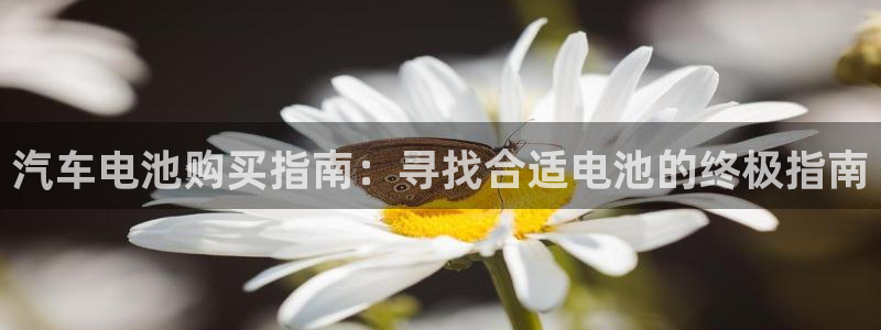 优发国际网官网17w8