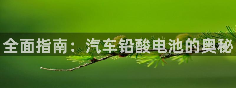 优发国际注册平台是什么