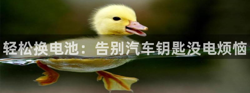 优发国际这个平台怎么样啊