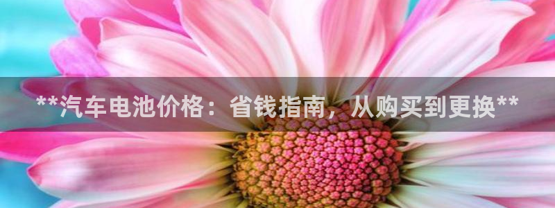 优发国际网官网17q8