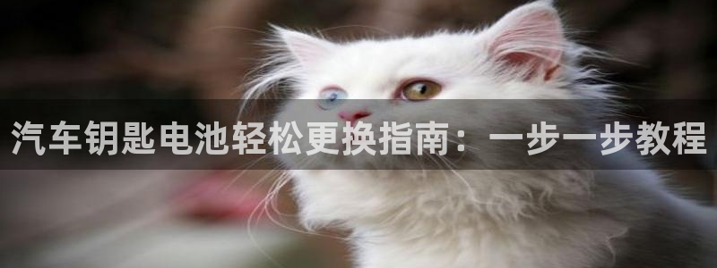 优发国际网站官网