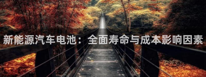 优发国际手机版官网下载