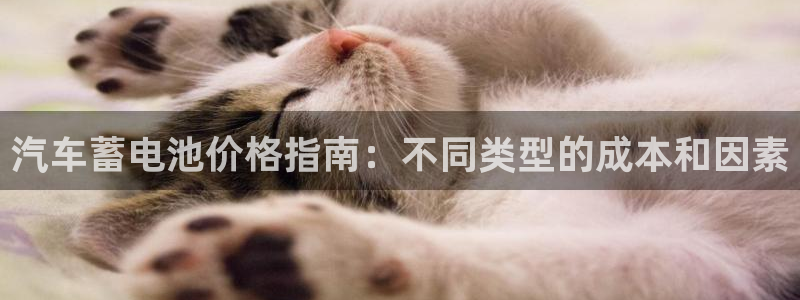优发国际下载安装app