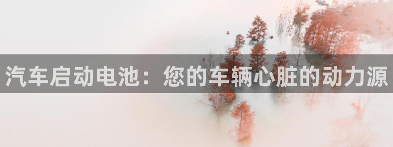 优发国际网官网17w80是什么