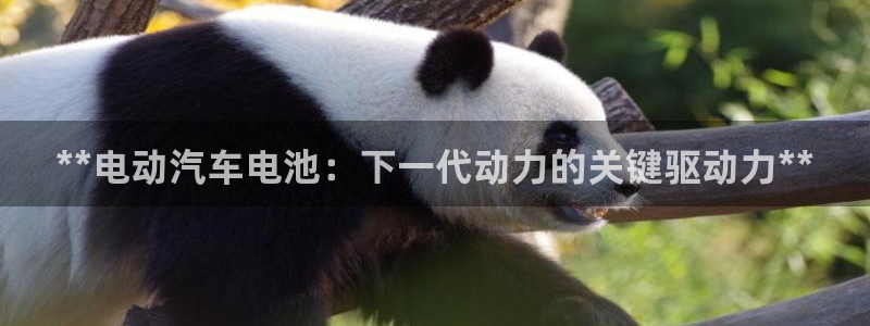 优发国际娱乐官网多少?