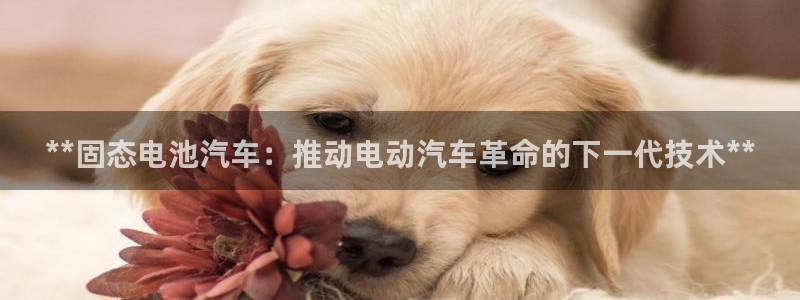 优发国际手机客户端下载安卓