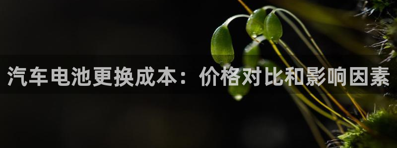 优发国际最新网站下载