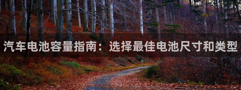 优发国际平台g80