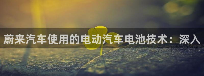 优发国际vip网址