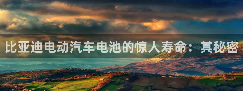 优发国际手机版网站入口