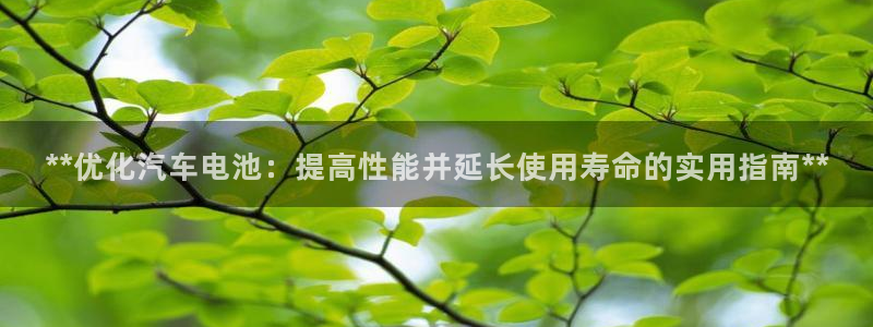 优发国际游戏官网