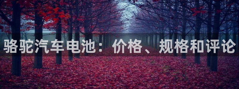 优发国际官方网手机版下载安卓