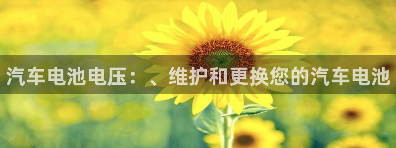 优发国际游戏n