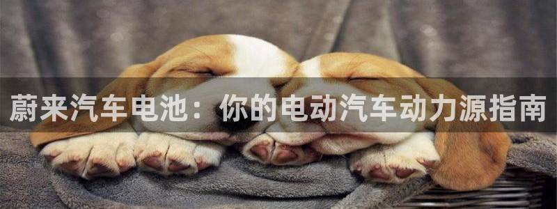 优发国际VIP网址
