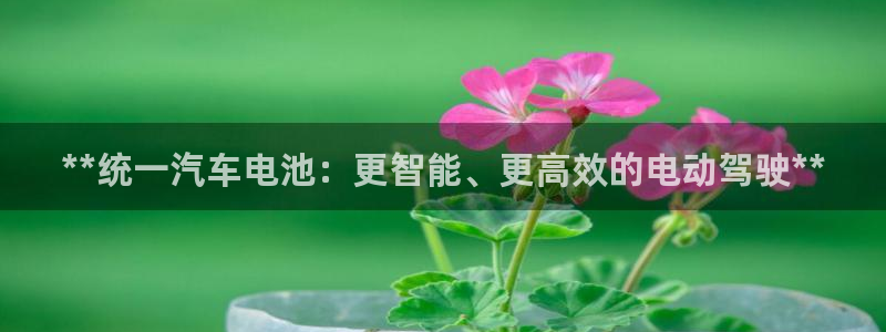 优发国际注册平台官网